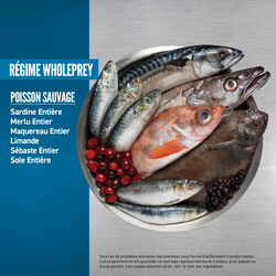 null - Product thumbnail 5.0